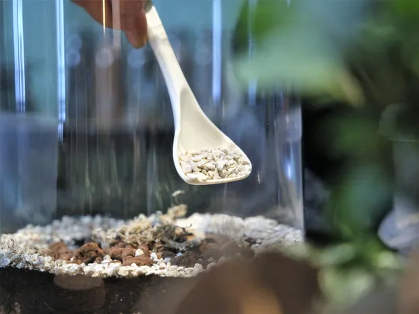 Réalisez votre terrarium - Image n°4 - Wecandoo
