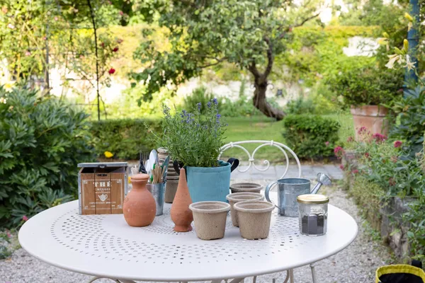 Semez et entretenez votre potager de balcon - Image n°1 - Wecandoo