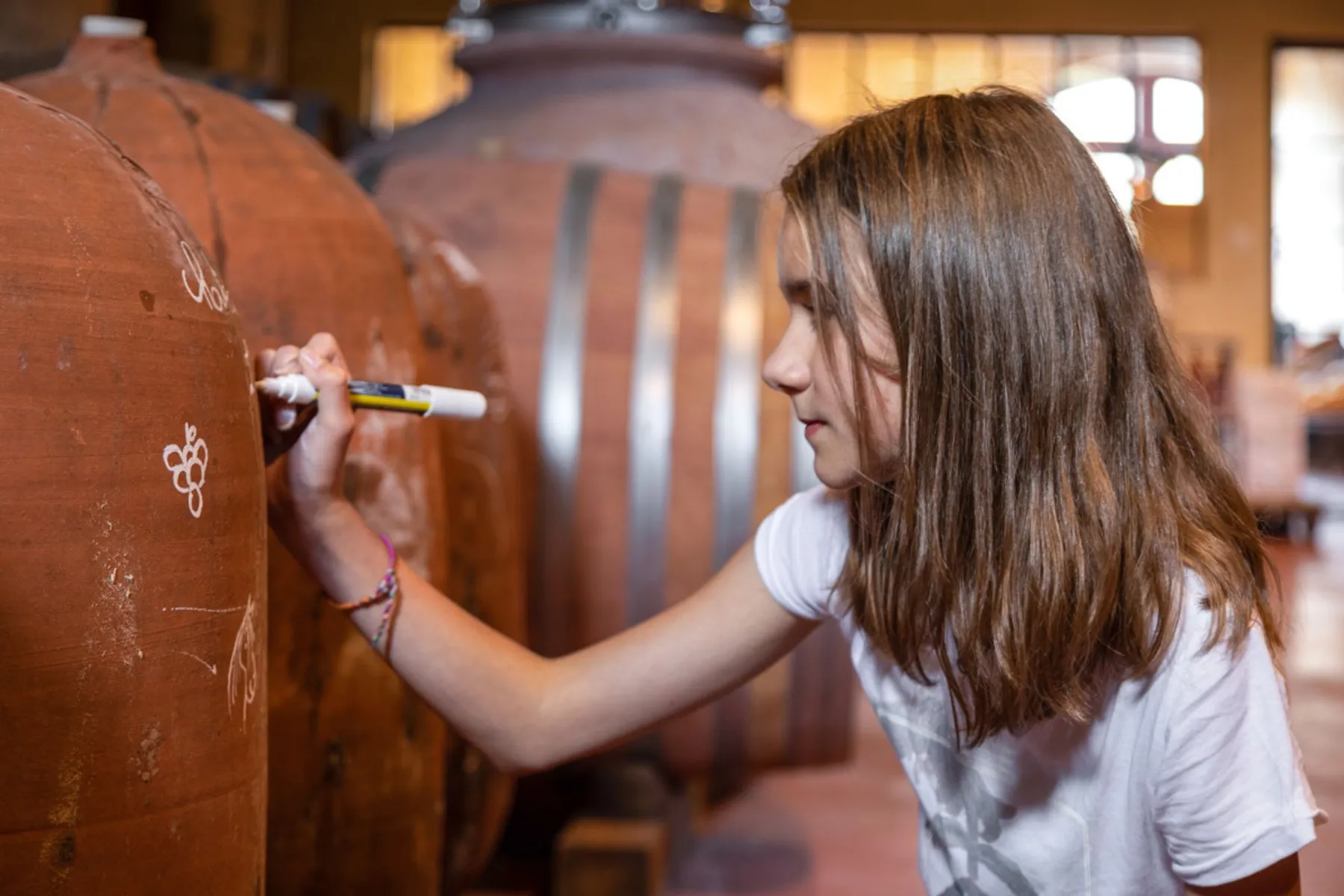 Découvrez une viticulture biologique - Afbeelding nr. 4 - Wecandoo