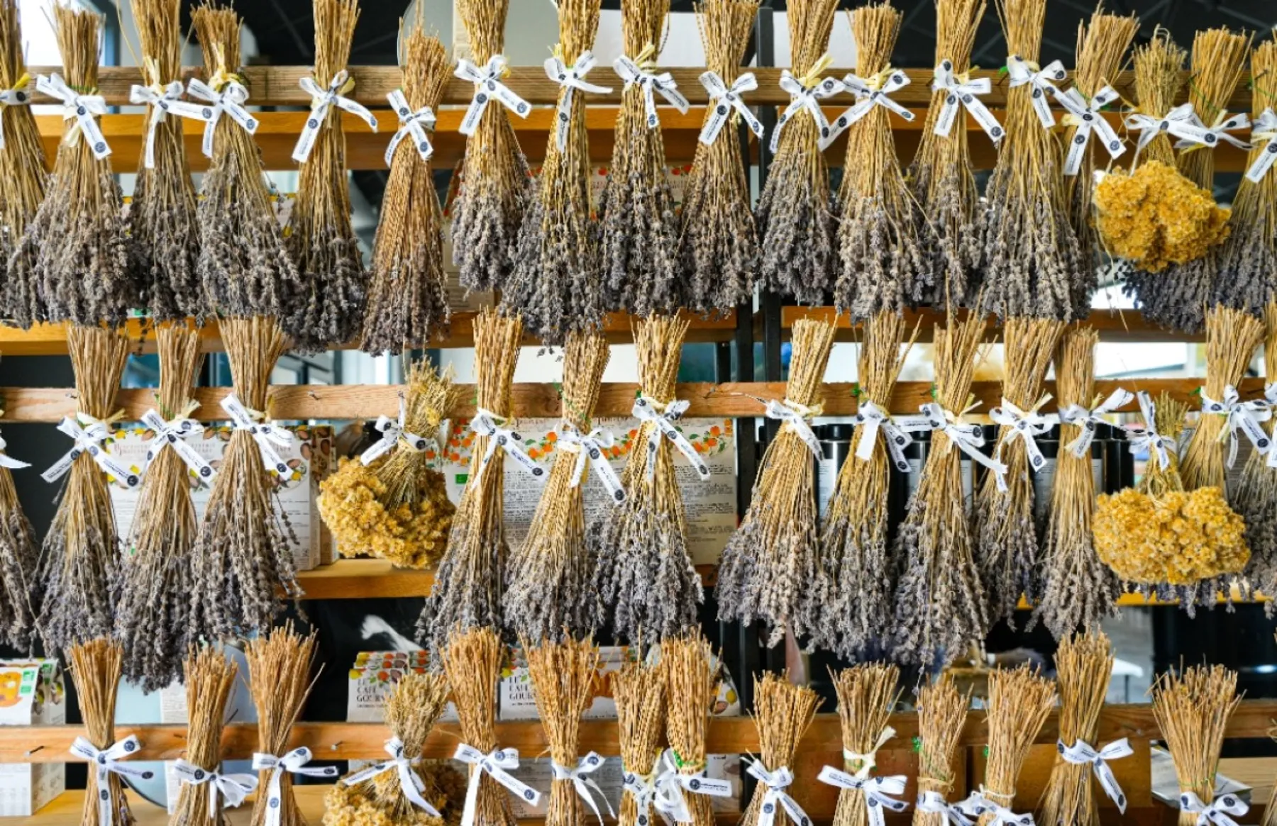 Récoltez la lavande et distillez votre hydrolat et huile essentielle - Afbeelding nr. 2 - Wecandoo