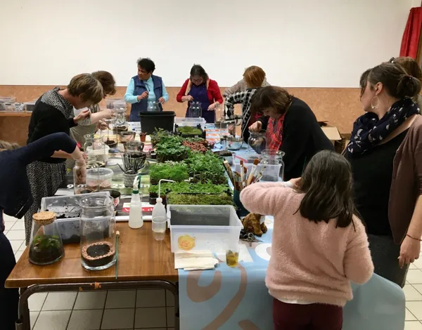 Créez votre terrarium taille large - Image n°3 - Wecandoo