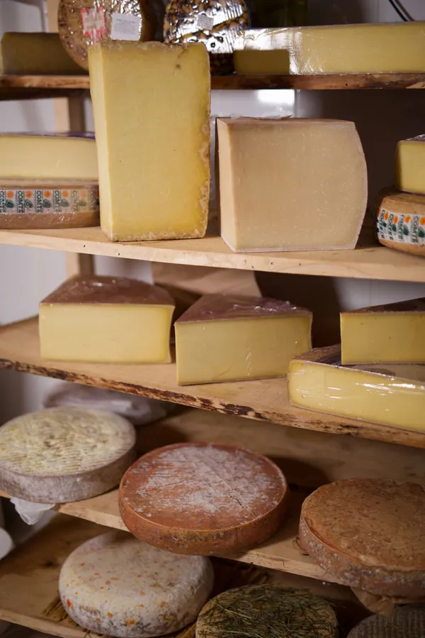 Initiez-vous à la caséologie - Image n°5 - Wecandoo