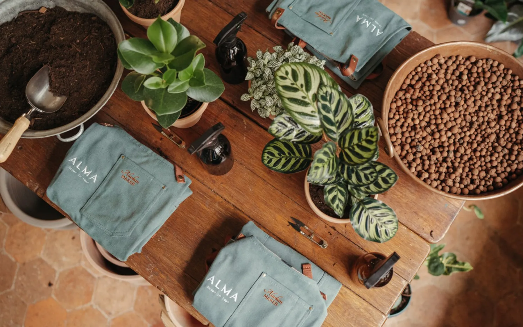 Apprenez à rempoter et entretenir vos plantes d'intérieur - Image n°3 - Wecandoo