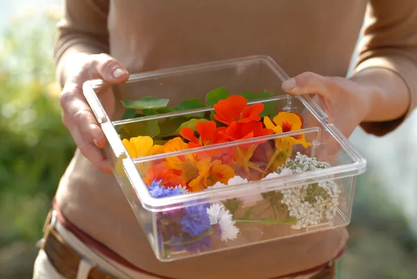 Wecandoo - Cueillez vos fleurs comestibles