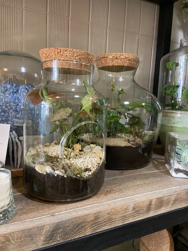 Fabriquez un grand terrarium - Image n°4 - Wecandoo