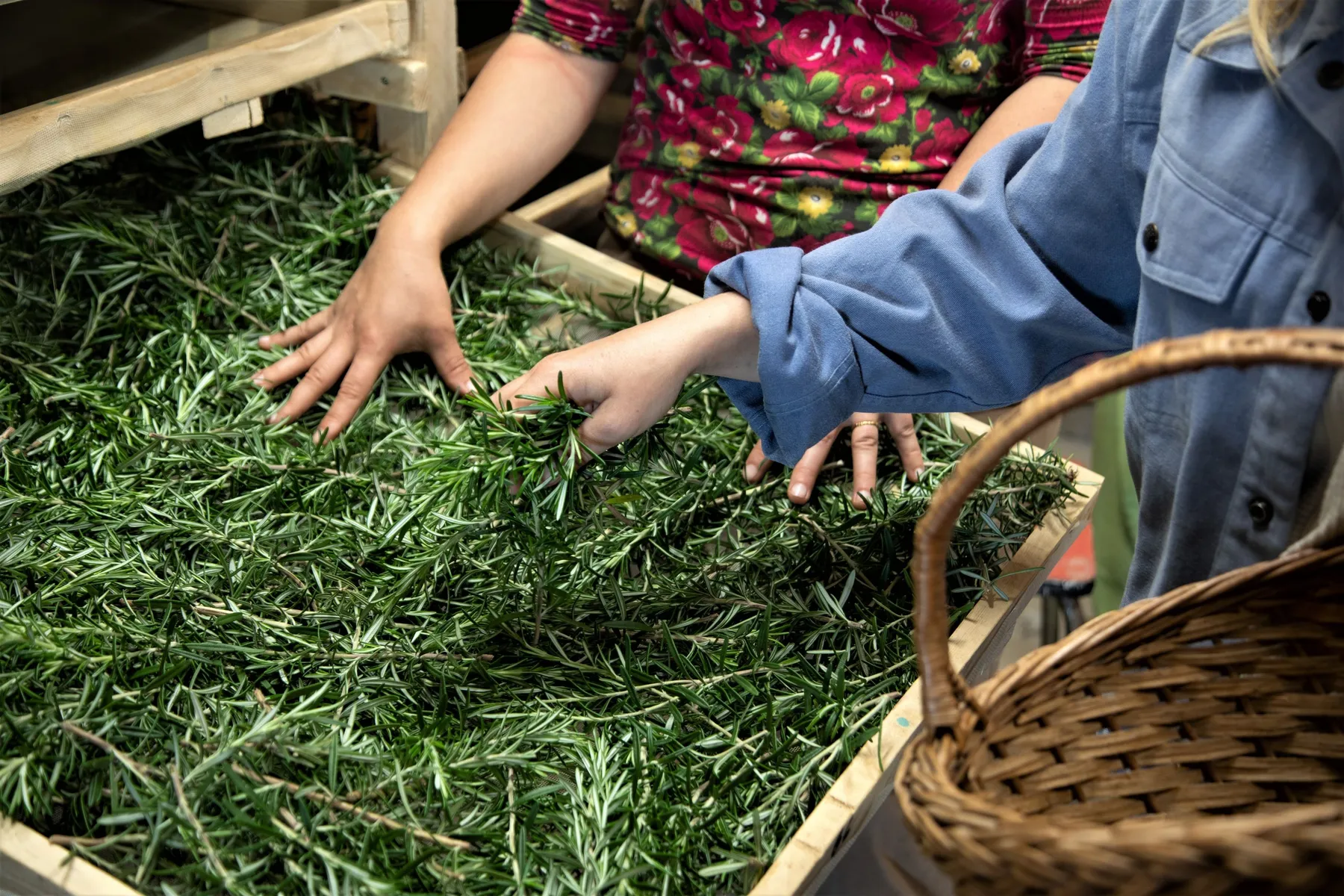 Découvrez la vie de paysanne herboriste - Image n°2 - Wecandoo