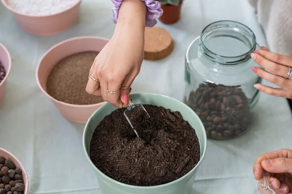 Fabriquez votre cadre végétal - Image n°2 - Wecandoo