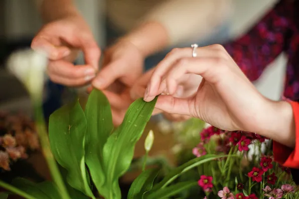 Wecandoo - Composez votre jardinière sur mesure de 3 plantes