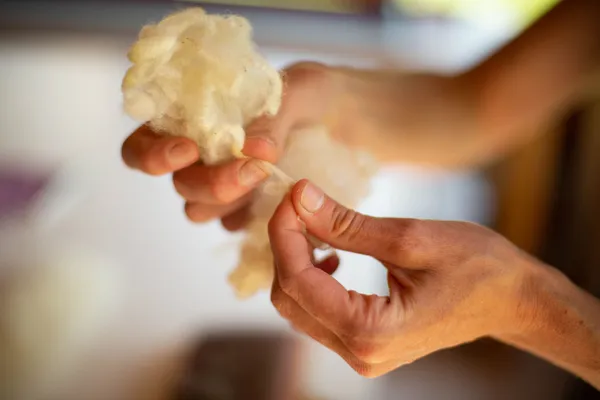 Initiez-vous au filage de laine sur une journée - Image n°4 - Wecandoo