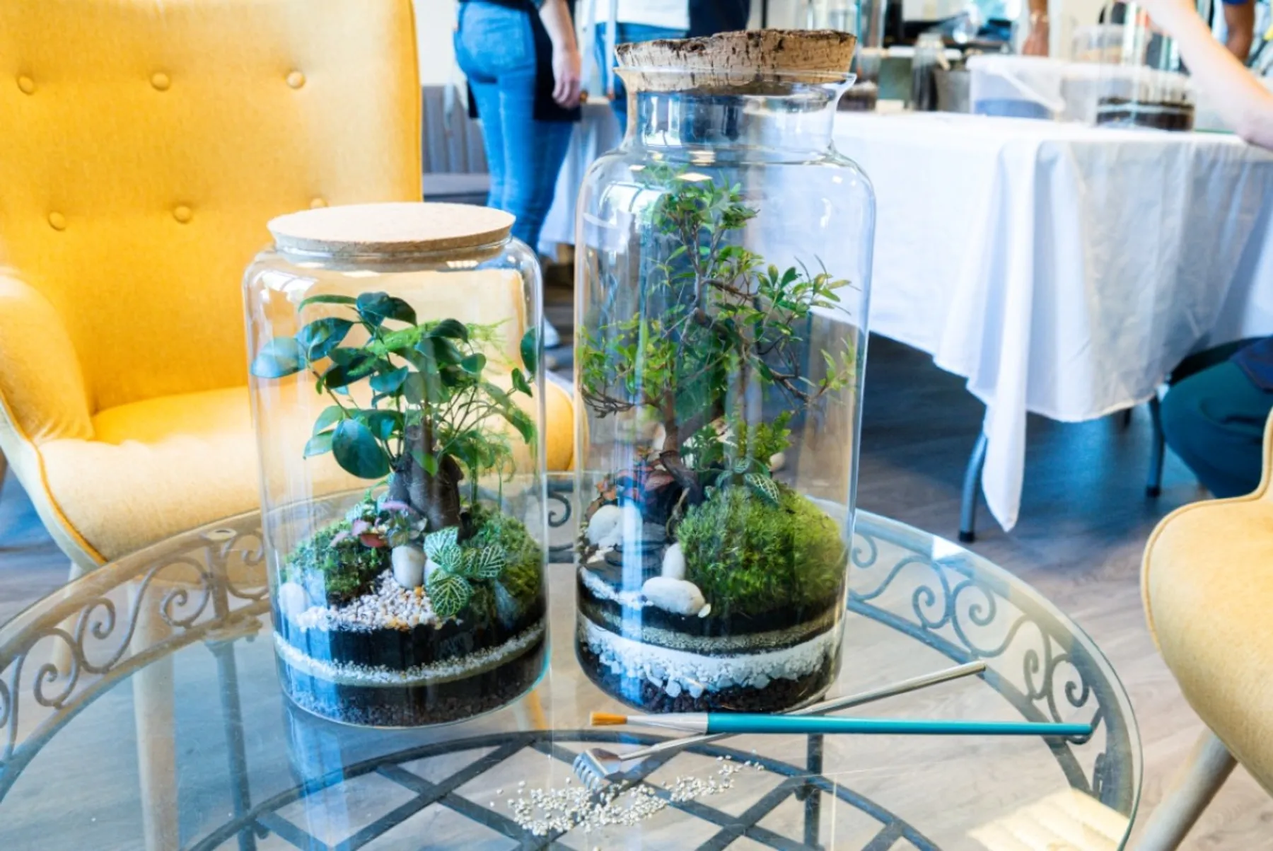 Créez votre terrarium taille M - Image n°2 - Wecandoo