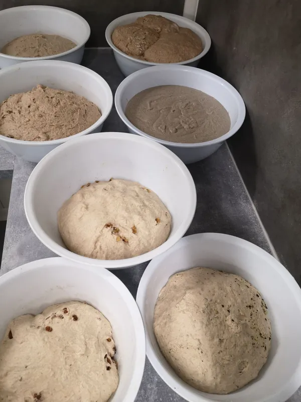 Immergez-vous une journée avec un paysan boulanger - Image n°3 - Wecandoo