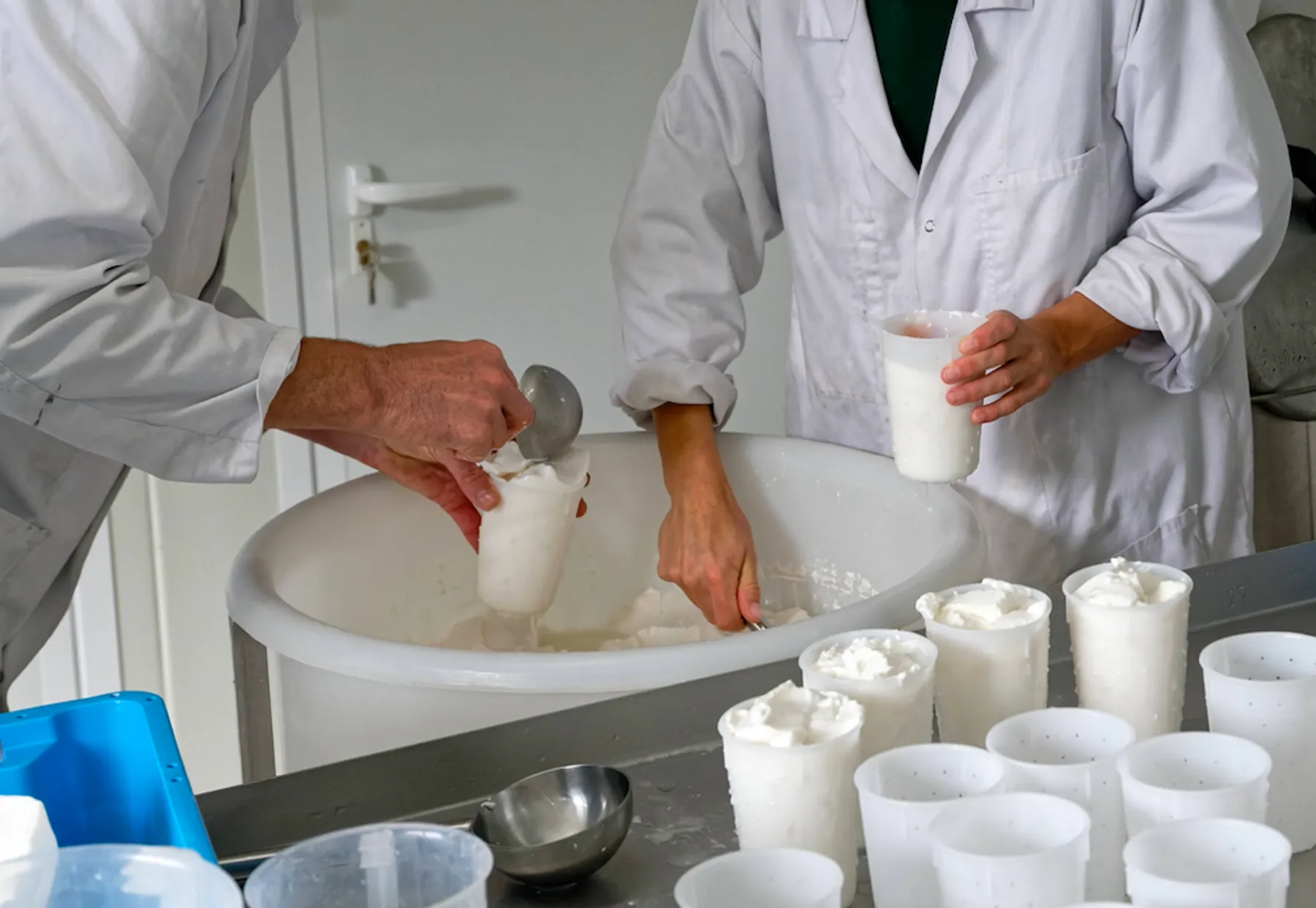 Fabriquez votre beurre et votre fromage de chèvre frais - Image n°3 - Wecandoo