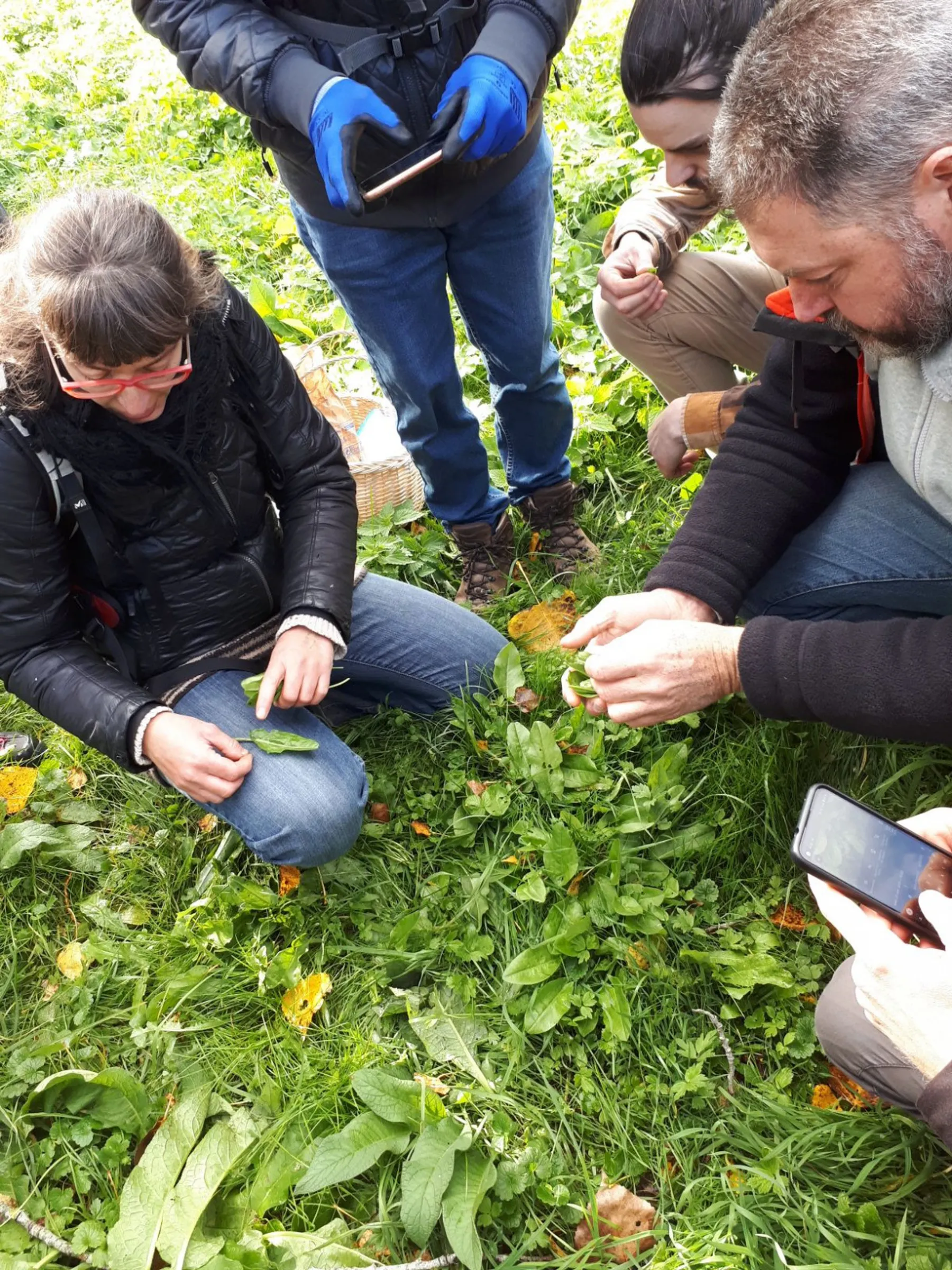 Initiez-vous à la cueillette sauvage - Image n°5 - Wecandoo