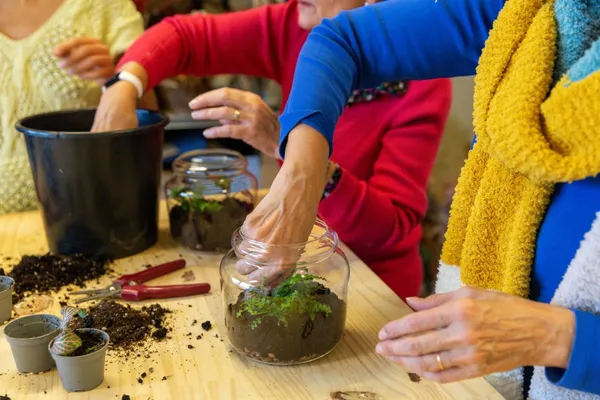 Réalisez votre petit terrarium - Image n°3 - Wecandoo