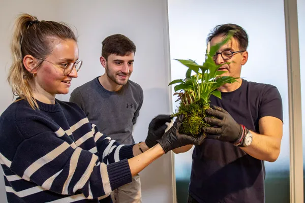 Fabriquez votre kokédama - Image n°4 - Wecandoo