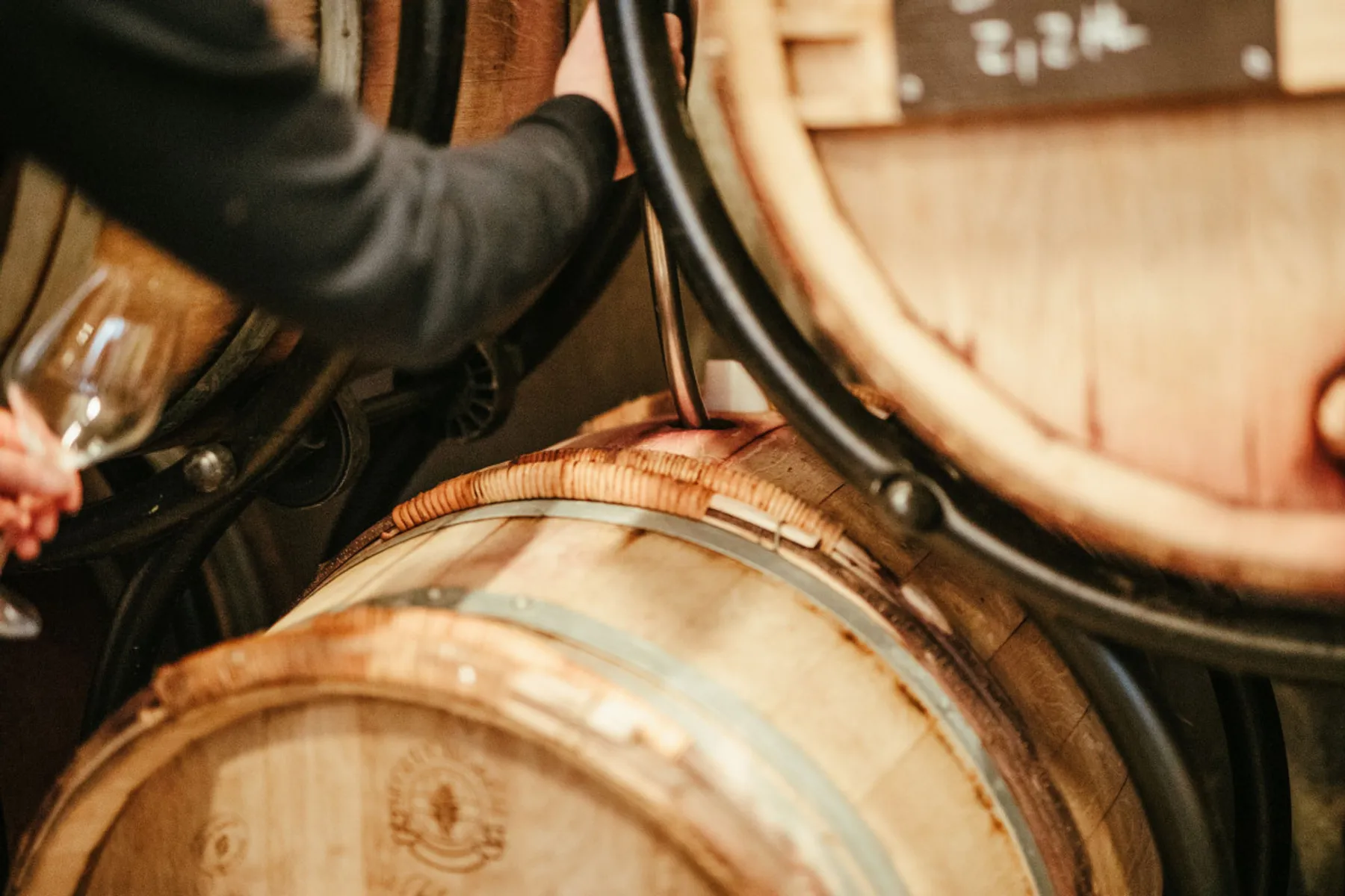 Dégustez des vins bio et bruxellois dans un chai urbain avec Thierry, artisan vinificateur - Image n°4 - Wecandoo