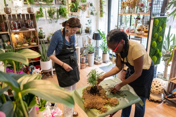 Composez votre kokédama - Image n°3 - Wecandoo