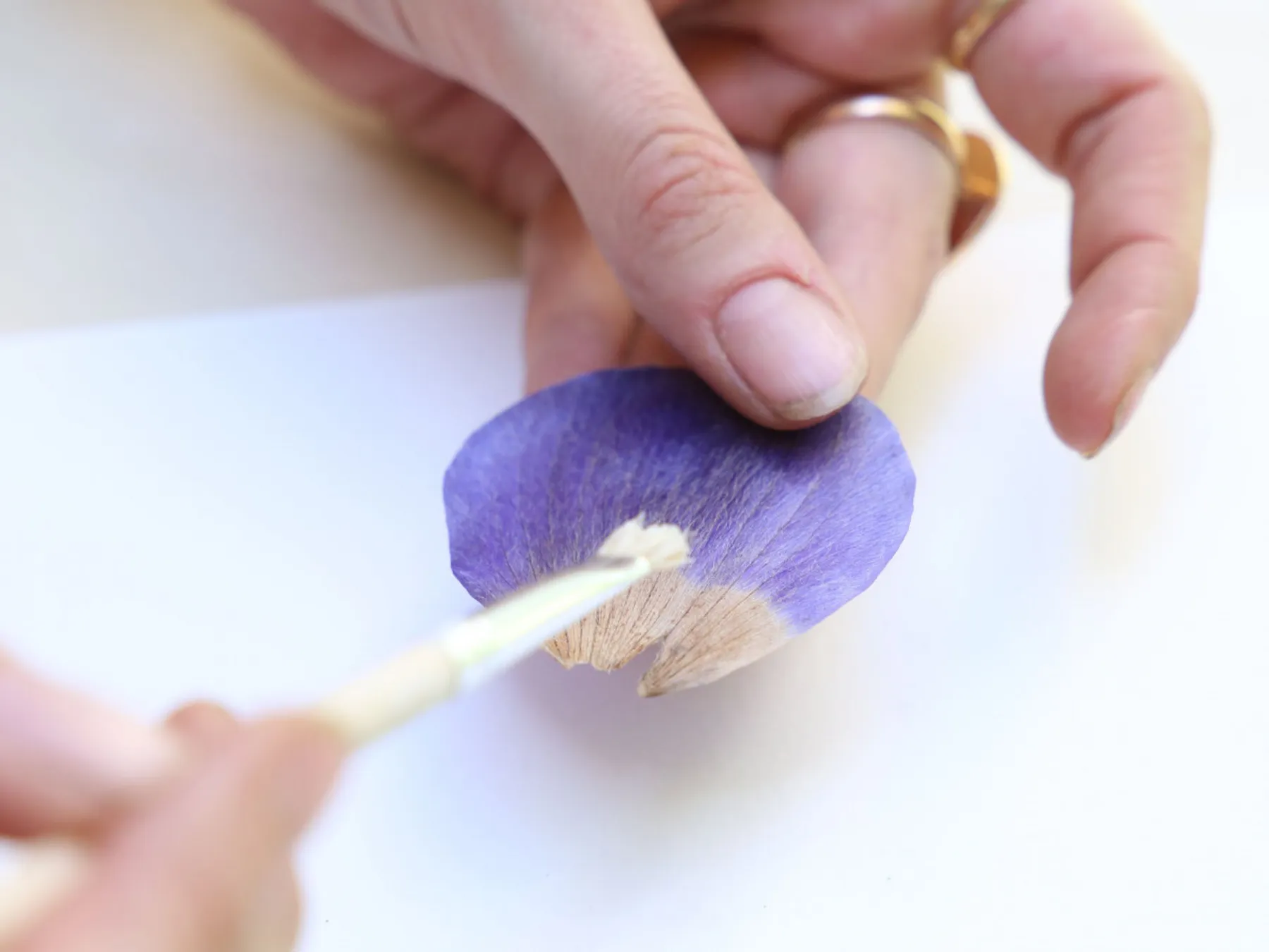 Créez votre herbier en fleurs séchées - Image n°3 - Wecandoo