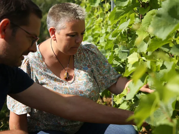 Visitez un vignoble du Beaujolais et dégustez le vin produit sur place - Image n°1 - Wecandoo
