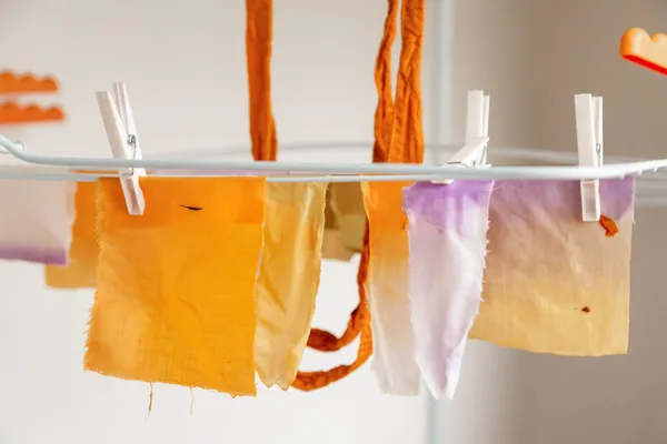 Initiez-vous à la teinture végétale - Image n°4 - Wecandoo