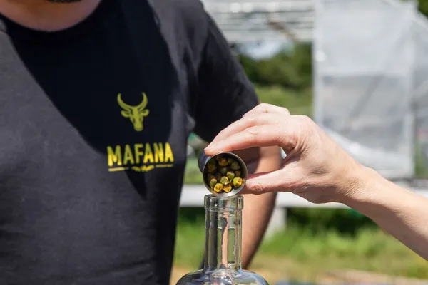 Assemblez votre rhum - Image n°1 - Wecandoo