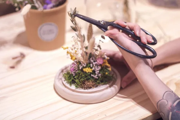 Créez votre cloche végétale - Image n°2 - Wecandoo