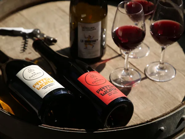 Wecandoo - Visitez les vignes en mobylette et dégustez du vin