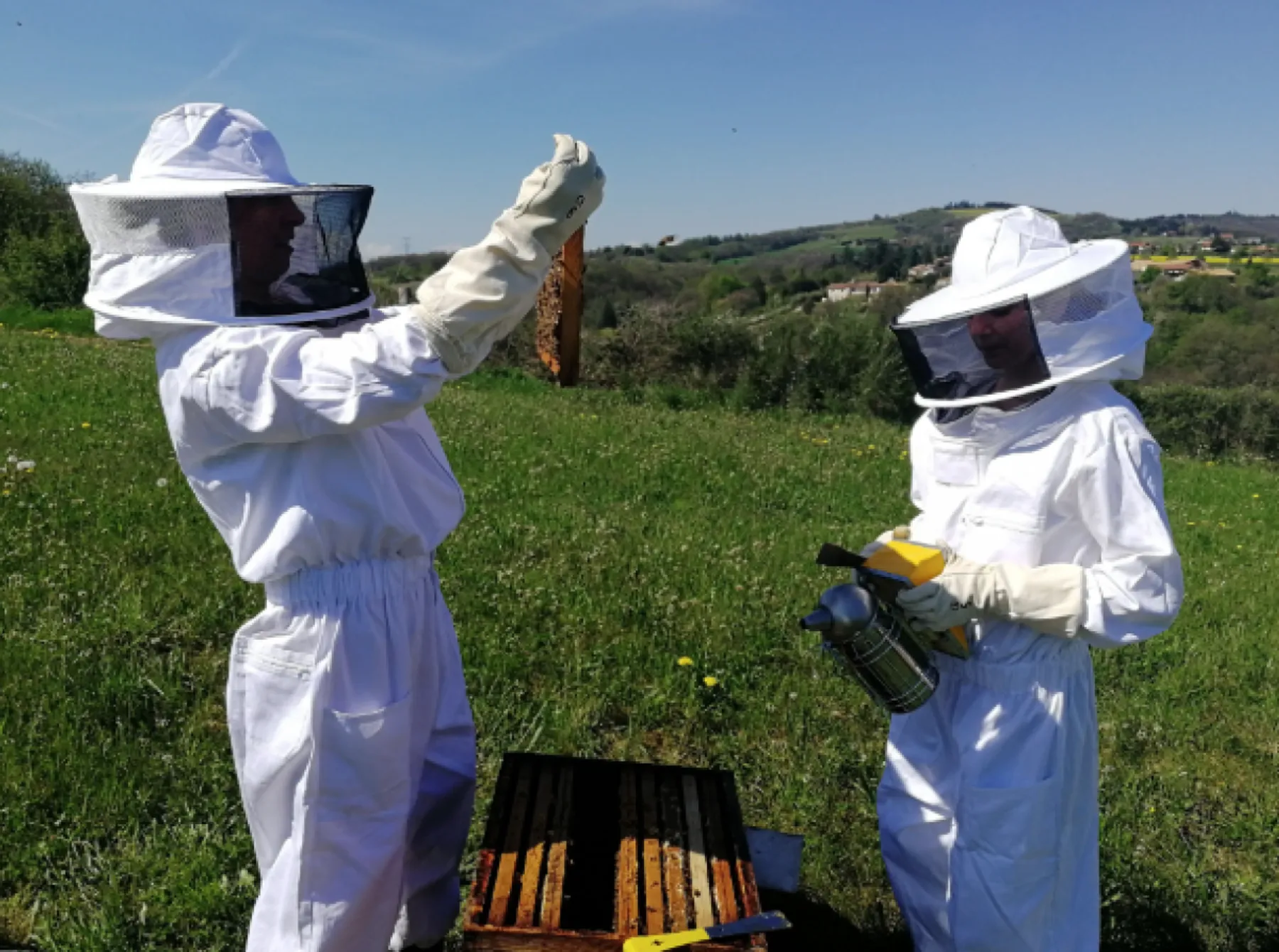 Découvrez l'apiculture - Afbeelding nr. 3 - Wecandoo
