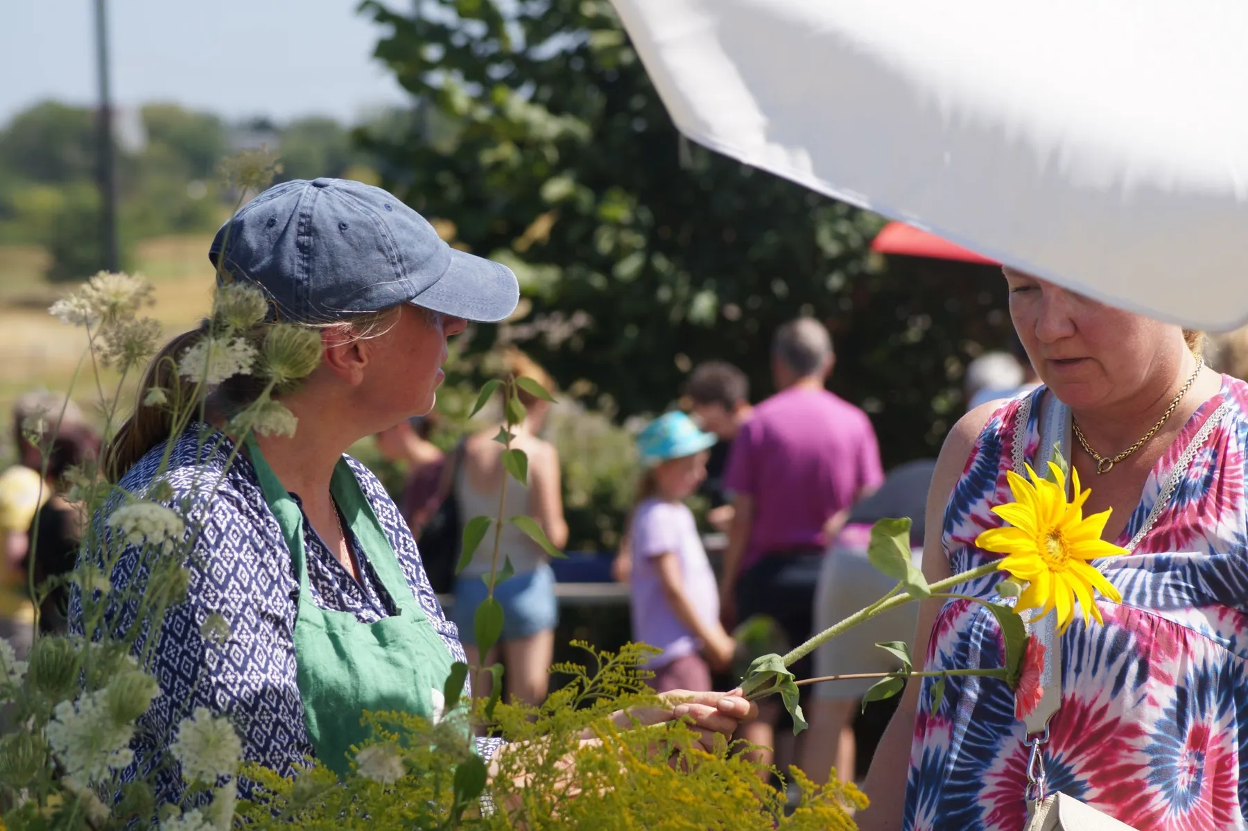 Pick and cook edible flowers - Afbeelding nr. 3 - Wecandoo