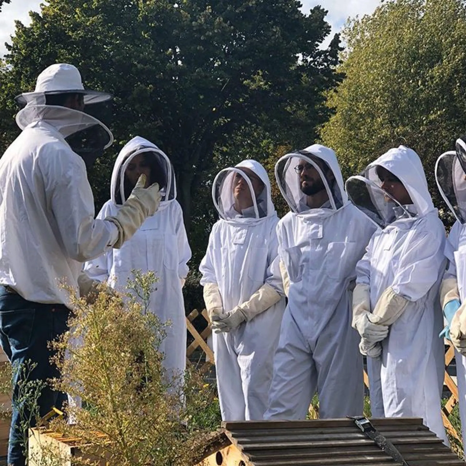 Découvrez l'apiculture urbaine - Image n°4 - Wecandoo