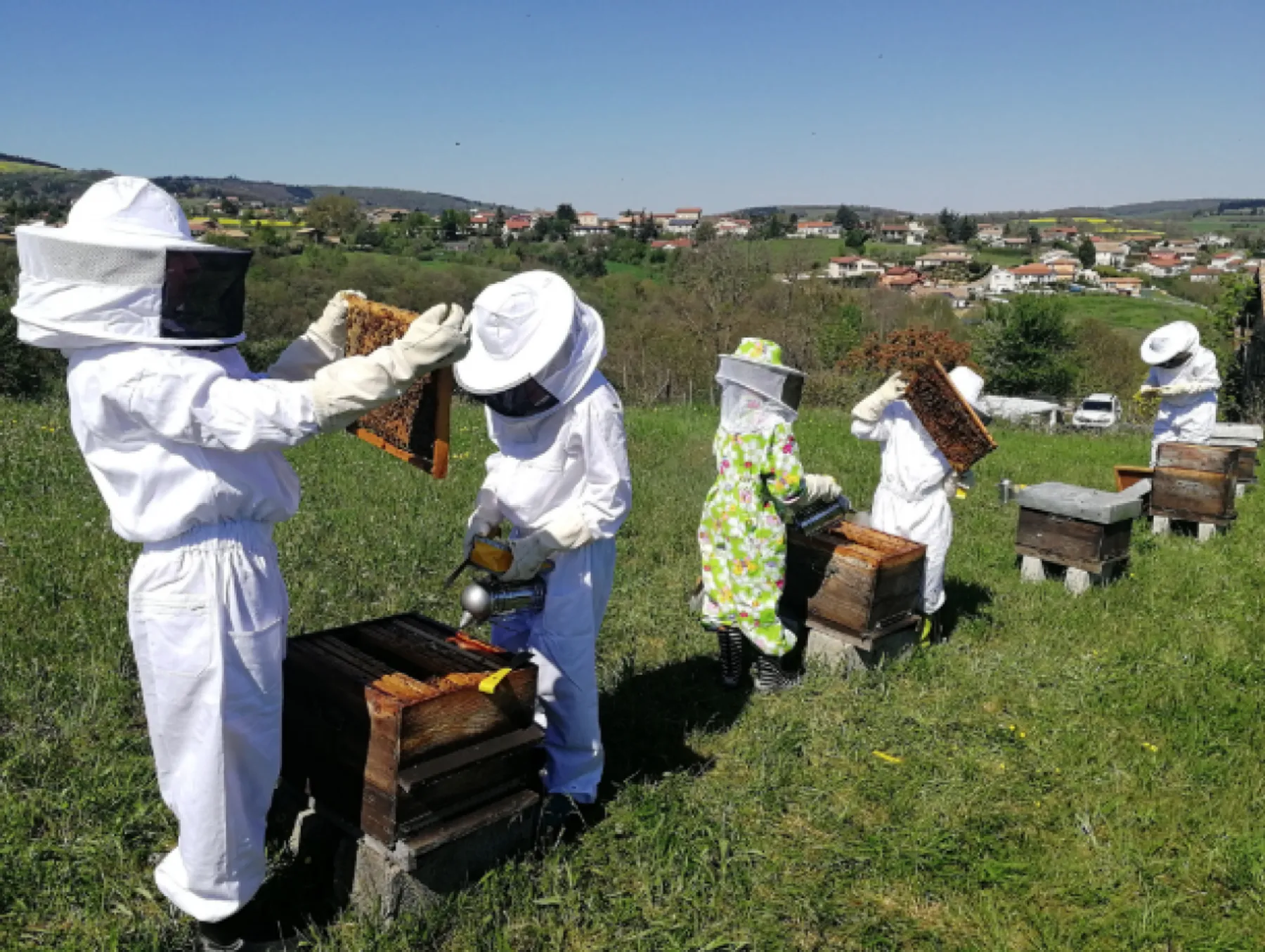 Découvrez l'apiculture - Afbeelding nr. 4 - Wecandoo