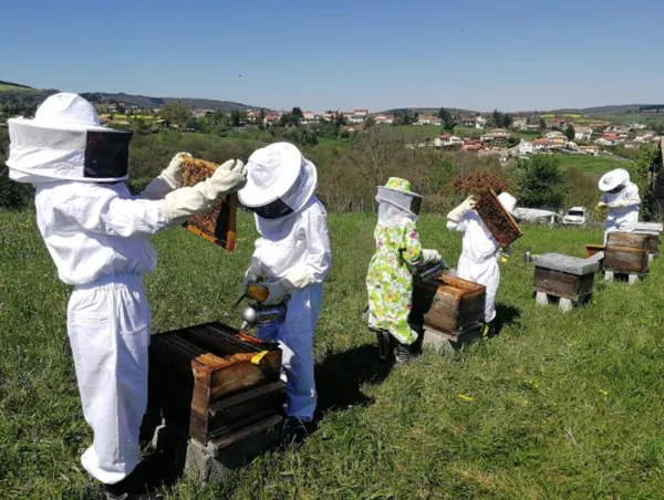 Wecandoo - Découvrez l'apiculture