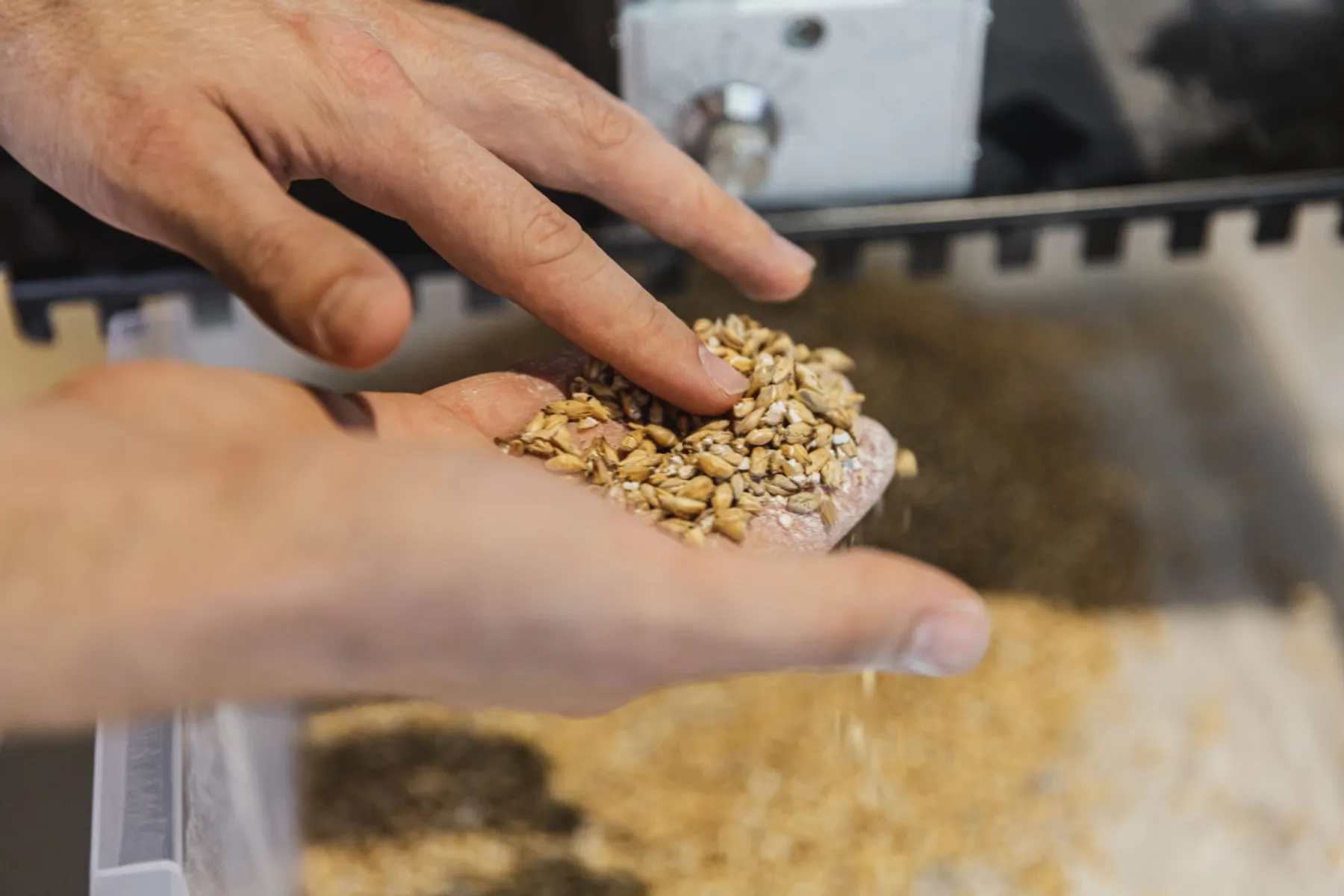 Initiez-vous au brassage de la bière - Image n°1 - Wecandoo