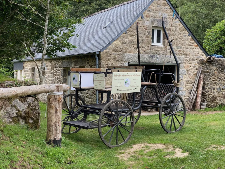 Réalisez votre pizza artisanale à la sauce bretonne - Image n°1 - Wecandoo