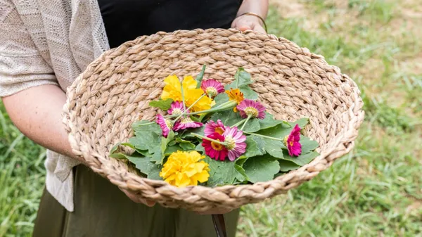 Cueillez vos plantes et réalisez votre foulard en éco-print - Image n°3 - Wecandoo
