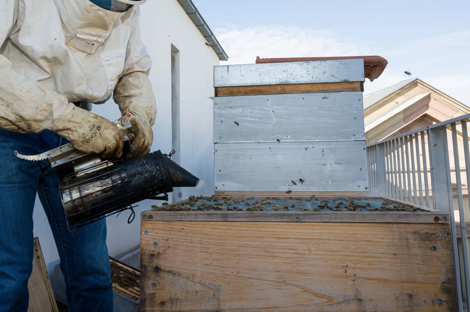 Découvrez l'apiculture - Image n°2 - Wecandoo