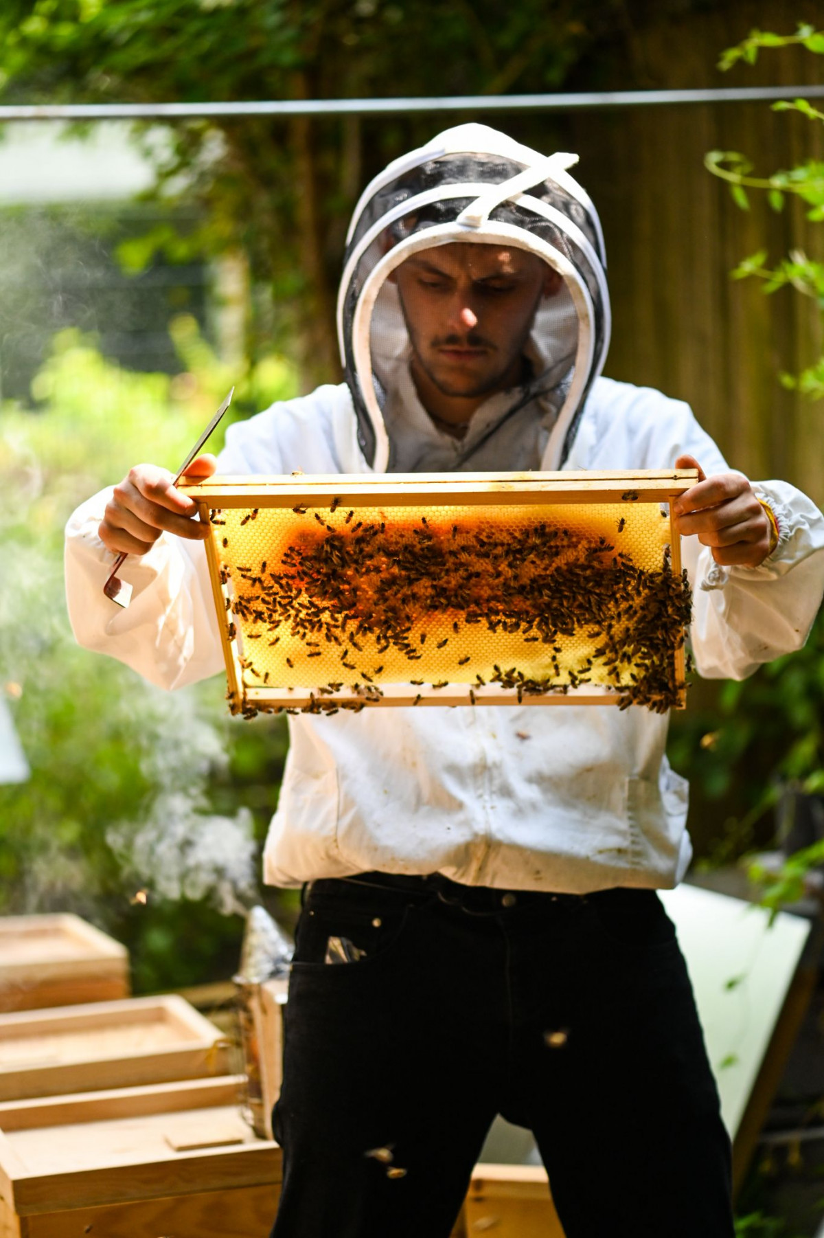 Wecandoo - Initiez-vous à l'apiculture durable - Image n°1