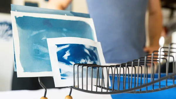 Initiez-vous au cyanotype en groupe - Image n°4 - Wecandoo