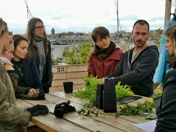 Apprenez à cultiver votre potager urbain - Image n°3 - Wecandoo