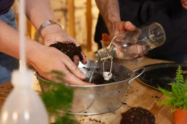 Fabriquez votre kokedama - Image n°3 - Wecandoo