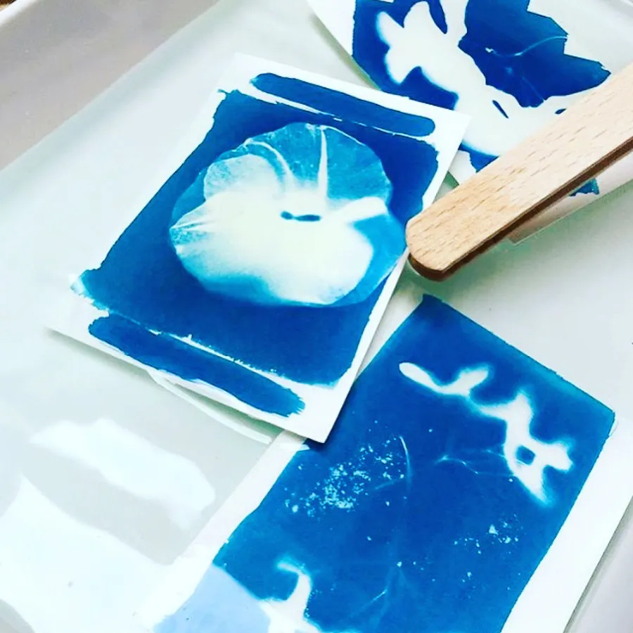 Make your own vegetal prints in cyanotype - Image n°1 - Wecandoo
