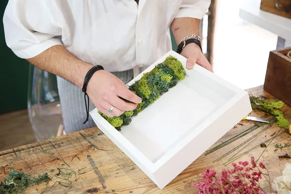 Créez votre tableau végétal - Image n°2 - Wecandoo