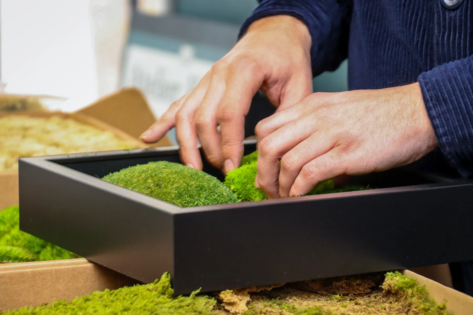 Réalisez votre cadre végétal avec Ivan - Image n°4 - Wecandoo