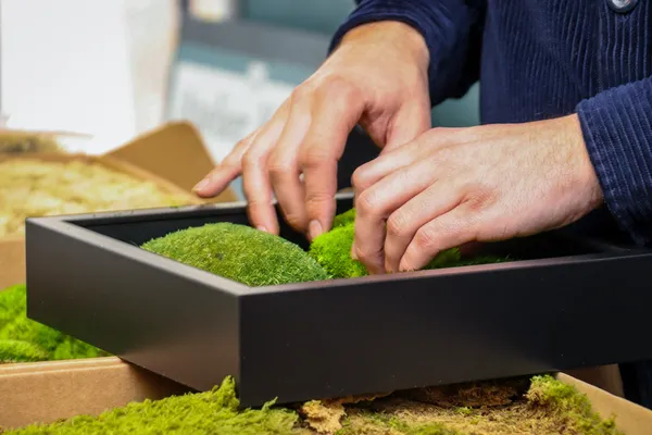 Réalisez votre cadre végétal avec Ivan - Image n°4 - Wecandoo