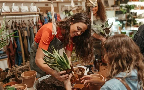Wecandoo - Apprenez à bouturer vos plantes à l'infini