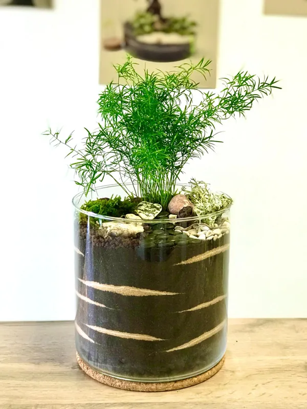 Wecandoo - Réalisez votre jardin zen d'intérieur
