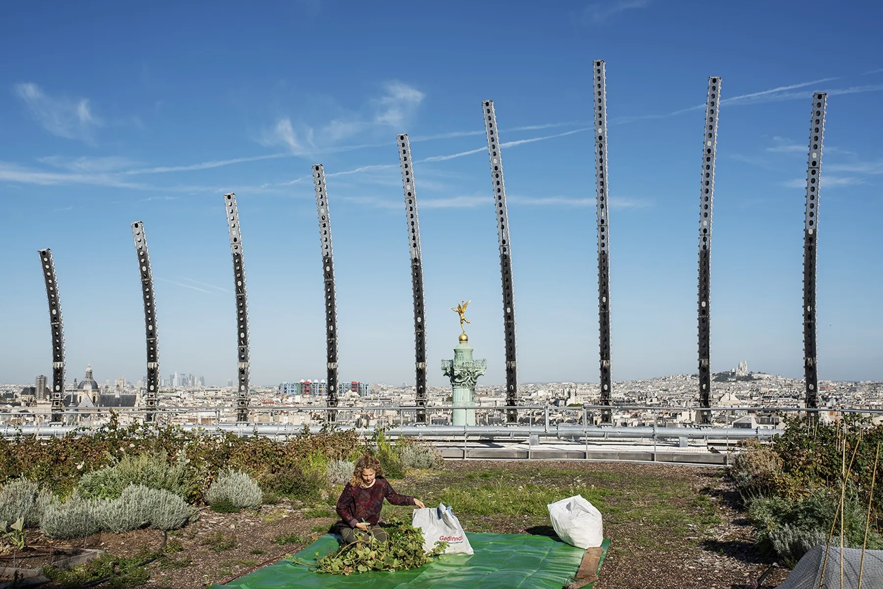 Cultivez votre houblon - Image n°1 - Wecandoo