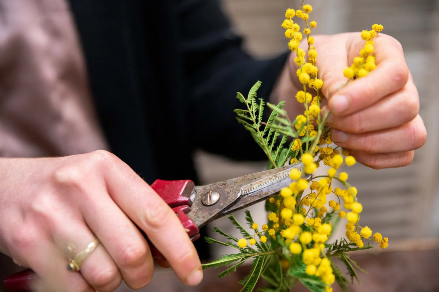 Créez votre couronne de fleurs séchées - Image n°3 - Wecandoo