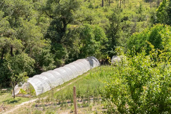 Fabriquez votre élixir sur-mesure aux plantes médicinales - Image n°1 - Wecandoo