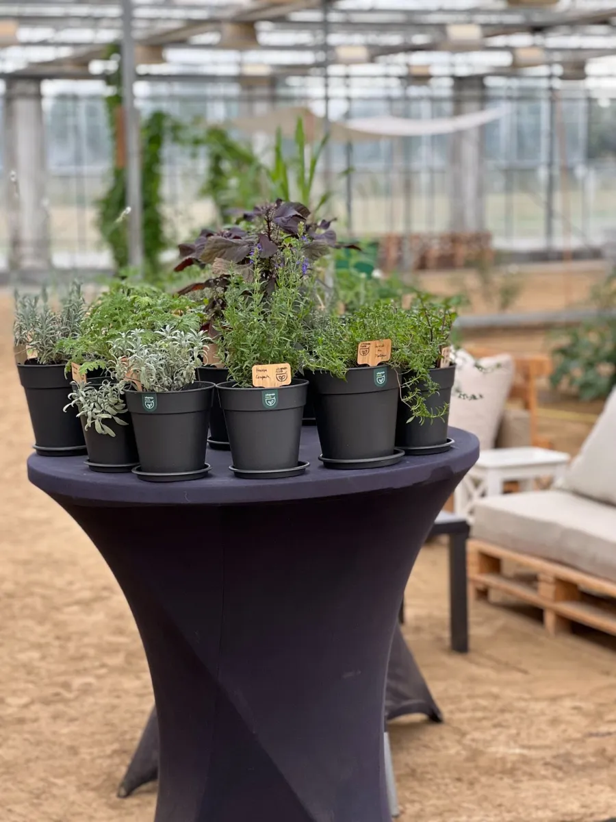 Créez vos infusions - Image n°1 - Wecandoo